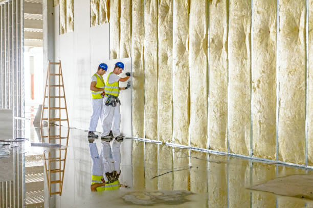 Best Blown-in Insulation in Nashvle, IL